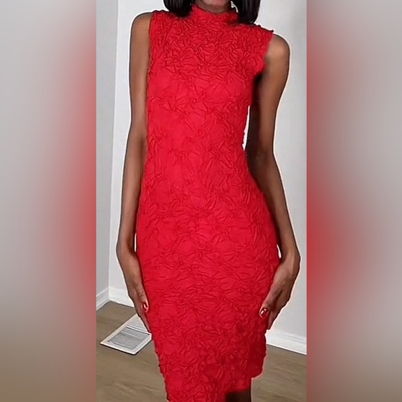 Zara Dress - Picture 5 of 5